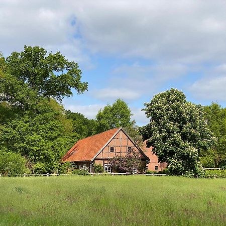 Ferienhaeuser Weitblick Gilten Zewnętrze zdjęcie