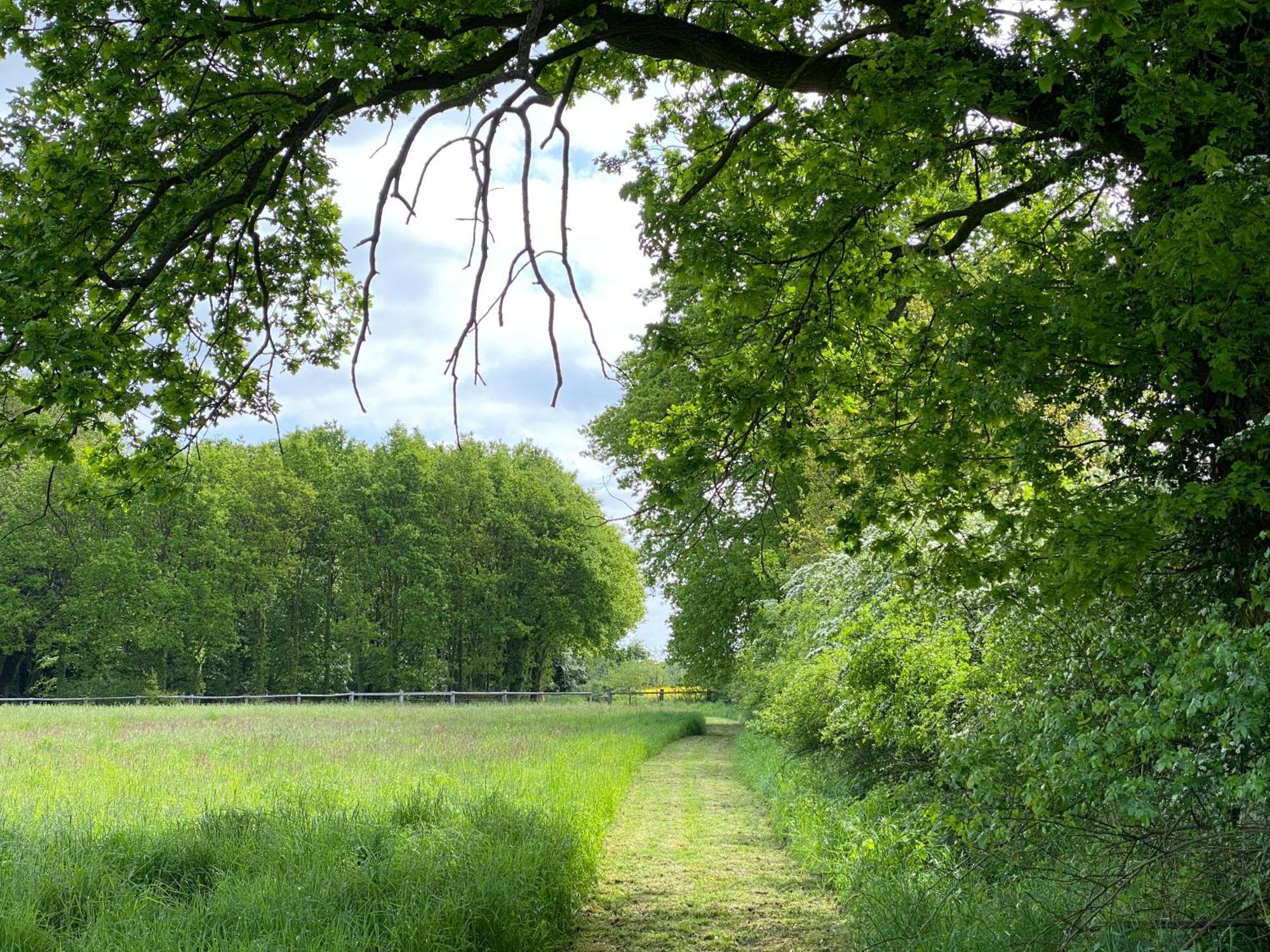 Ferienhaeuser Weitblick Gilten Zewnętrze zdjęcie